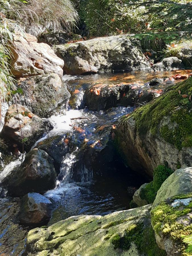 Anno - Wohlfuehlen Am Bachal In Altschoenau Neuschönau Dış mekan fotoğraf