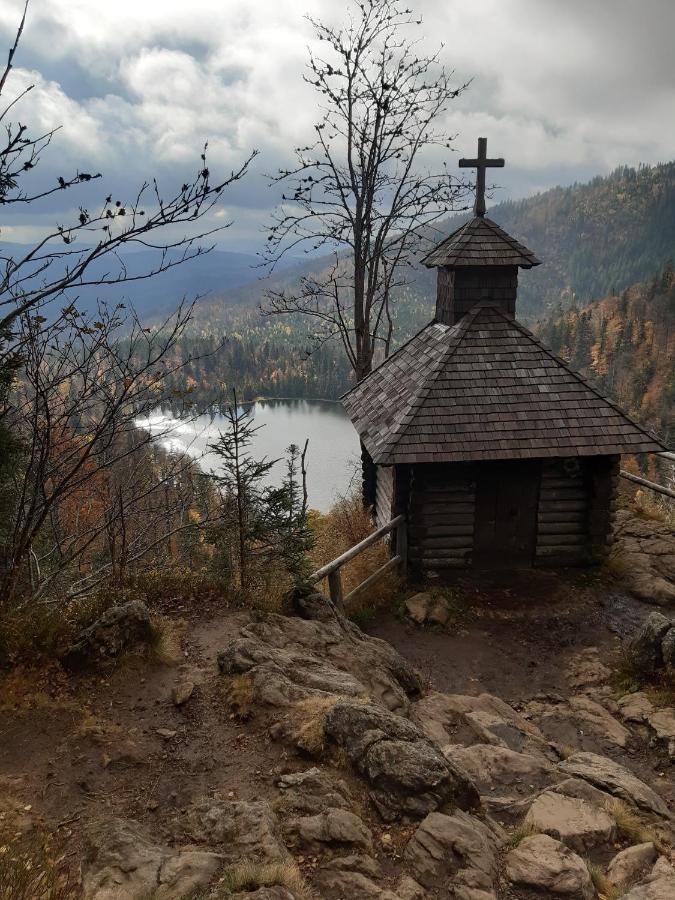 Anno - Wohlfuehlen Am Bachal In Altschoenau Neuschönau Dış mekan fotoğraf