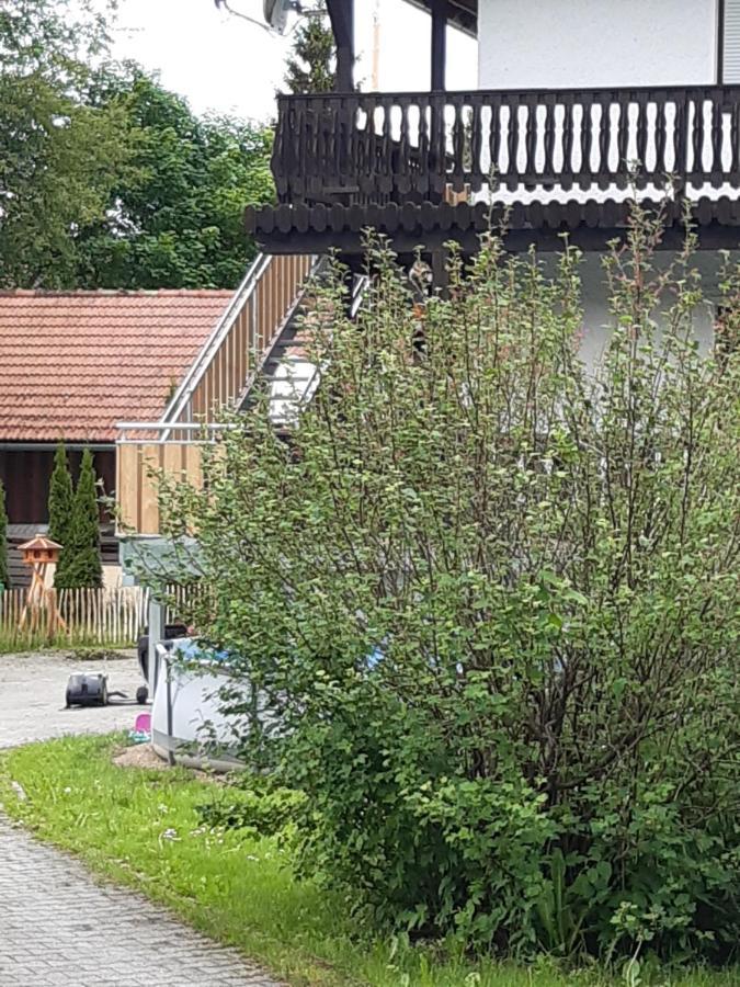 Anno - Wohlfuehlen Am Bachal In Altschoenau Neuschönau Dış mekan fotoğraf