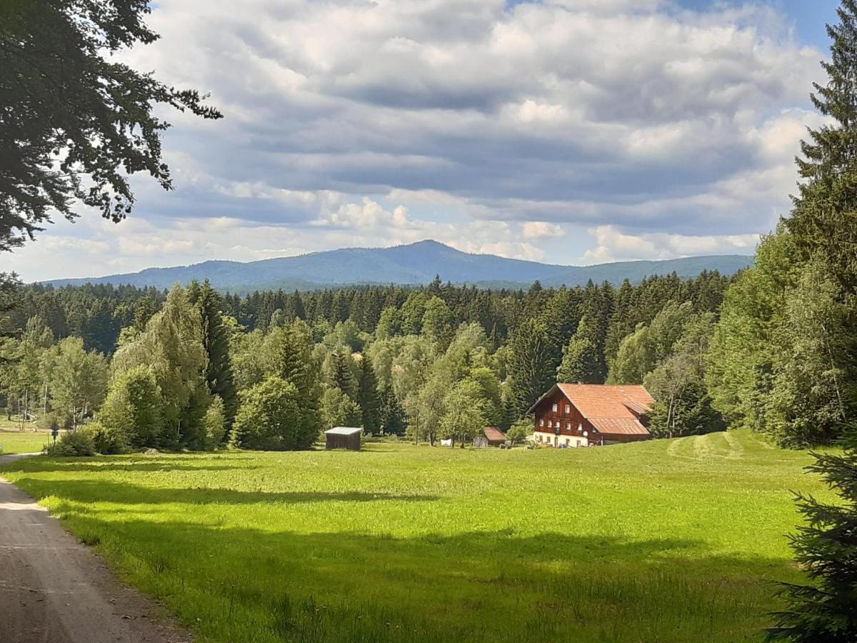 Anno - Wohlfuehlen Am Bachal In Altschoenau Neuschönau Dış mekan fotoğraf